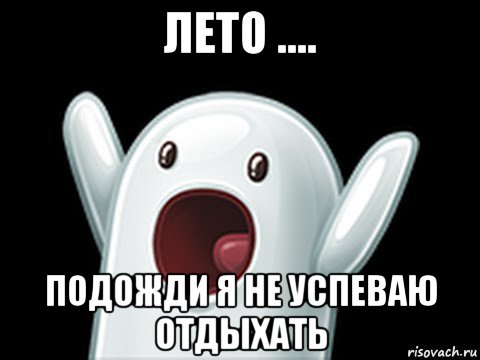 лето .... подожди я не успеваю отдыхать, Мем  Придуси