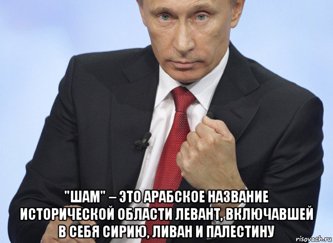  "шам" – это арабское название исторической области левант, включавшей в себя сирию, ливан и палестину, Мем Путин показывает кулак