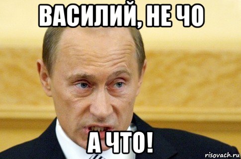 василий, не чо а что!, Мем путин