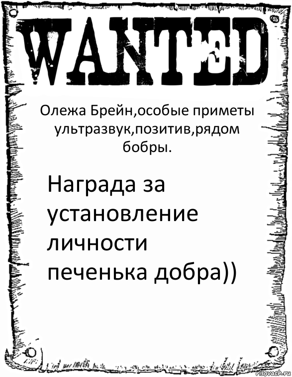 Олежа Брейн,особые приметы ультразвук,позитив,рядом бобры. Награда за установление личности печенька добра)), Комикс розыск