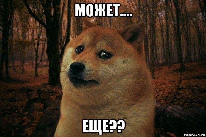 может.... еще??, Мем SAD DOGE