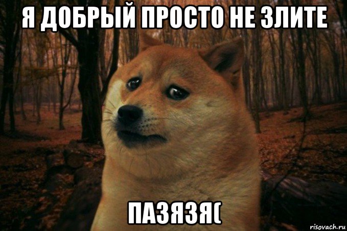 я добрый просто не злите пазязя(, Мем SAD DOGE