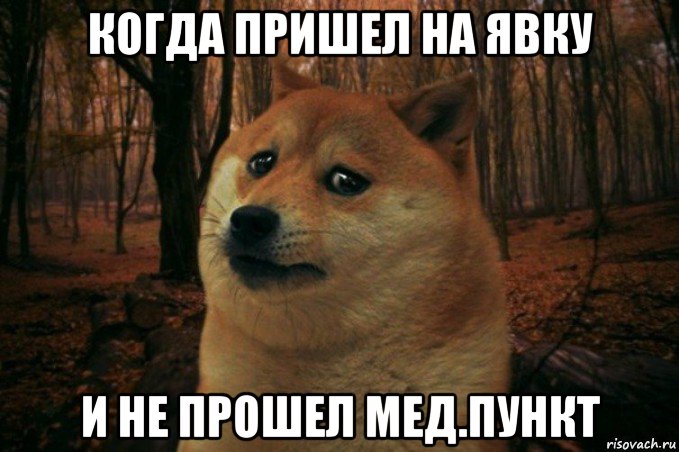 когда пришел на явку и не прошел мед.пункт, Мем SAD DOGE