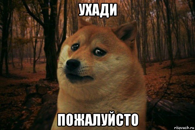 ухади пожалуйсто, Мем SAD DOGE