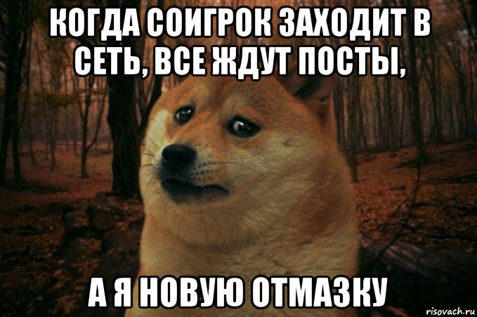 когда соигрок заходит в сеть, все ждут посты, а я новую отмазку, Мем SAD DOGE