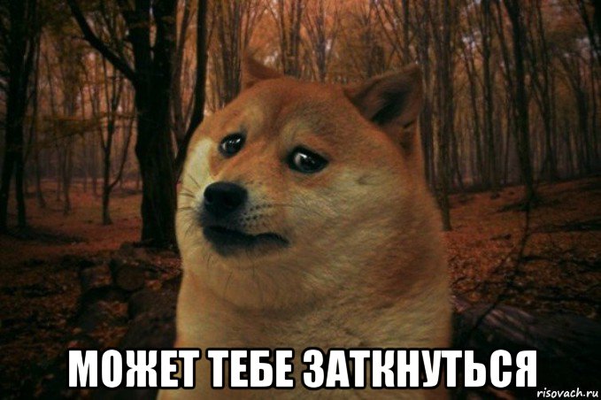  может тебе заткнуться, Мем SAD DOGE