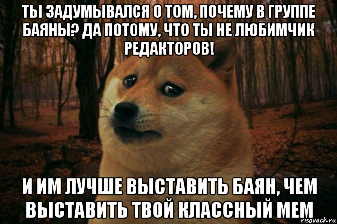 ты задумывался о том, почему в группе баяны? да потому, что ты не любимчик редакторов! и им лучше выставить баян, чем выставить твой классный мем, Мем SAD DOGE