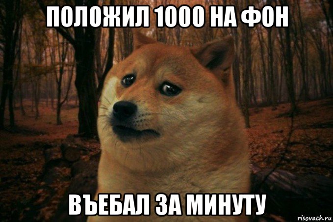 положил 1000 на фон въебал за минуту, Мем SAD DOGE