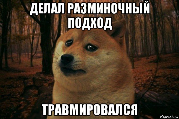 делал разминочный подход травмировался, Мем SAD DOGE