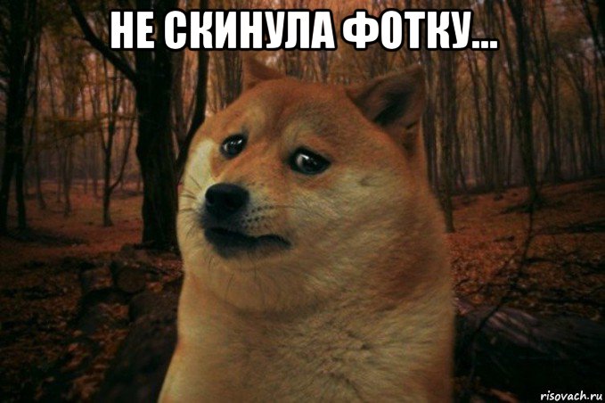 не скинула фотку... , Мем SAD DOGE