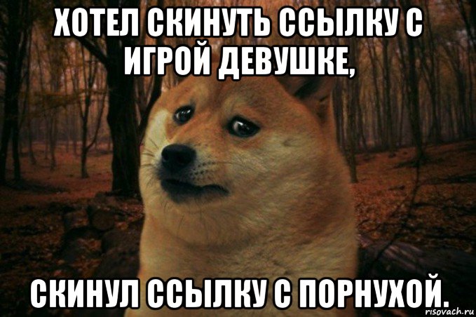 хотел скинуть ссылку с игрой девушке, скинул ссылку с порнухой., Мем SAD DOGE