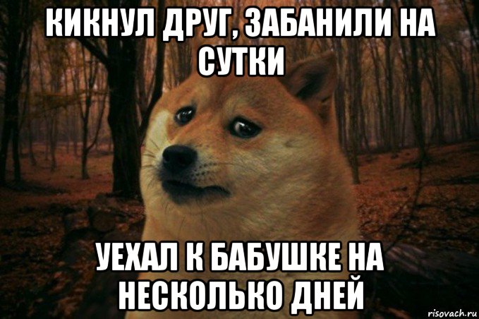 кикнул друг, забанили на сутки уехал к бабушке на несколько дней, Мем SAD DOGE