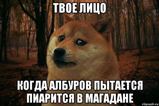 твое лицо когда албуров пытается пиарится в магадане, Мем SAD DOGE