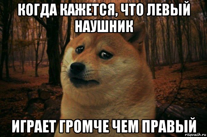 когда кажется, что левый наушник играет громче чем правый, Мем SAD DOGE