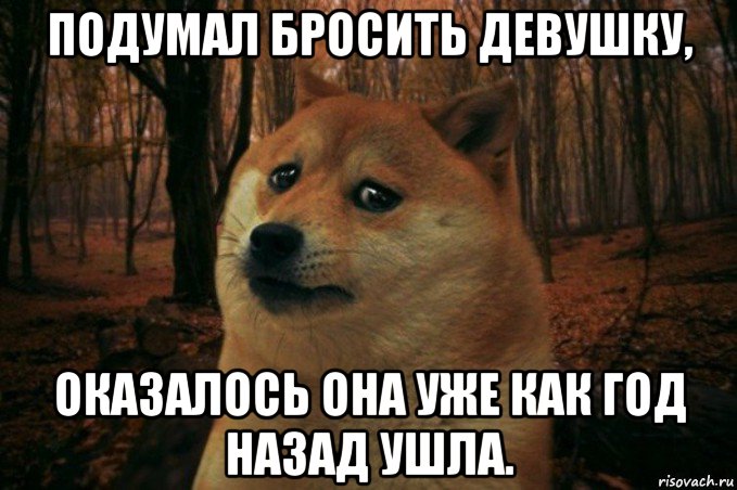 подумал бросить девушку, оказалось она уже как год назад ушла., Мем SAD DOGE