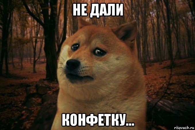 не дали конфетку..., Мем SAD DOGE