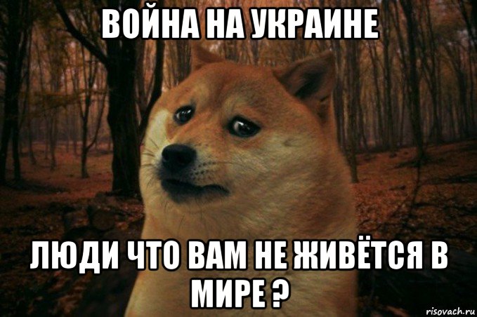 война на украине люди что вам не живётся в мире ?, Мем SAD DOGE