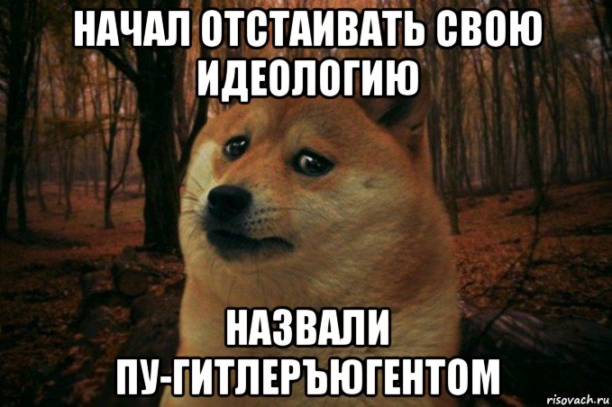 начал отстаивать свою идеологию назвали пу-гитлеръюгентом, Мем SAD DOGE