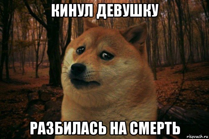 кинул девушку разбилась на смерть, Мем SAD DOGE