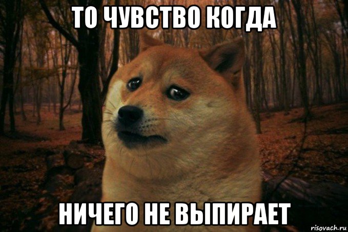 то чувство когда ничего не выпирает, Мем SAD DOGE