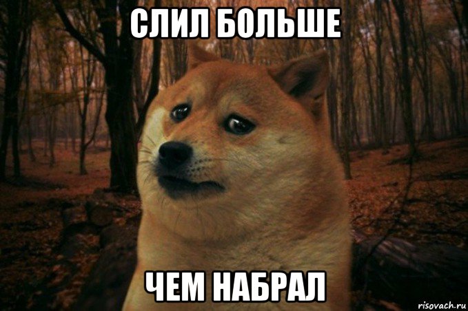 слил больше чем набрал, Мем SAD DOGE