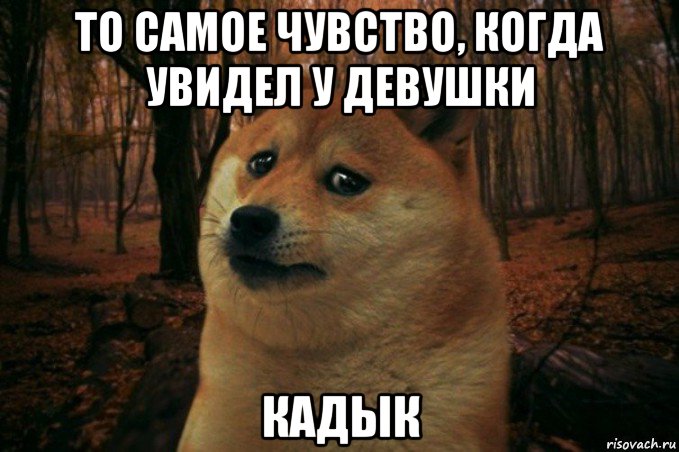 то самое чувство, когда увидел у девушки кадык, Мем SAD DOGE