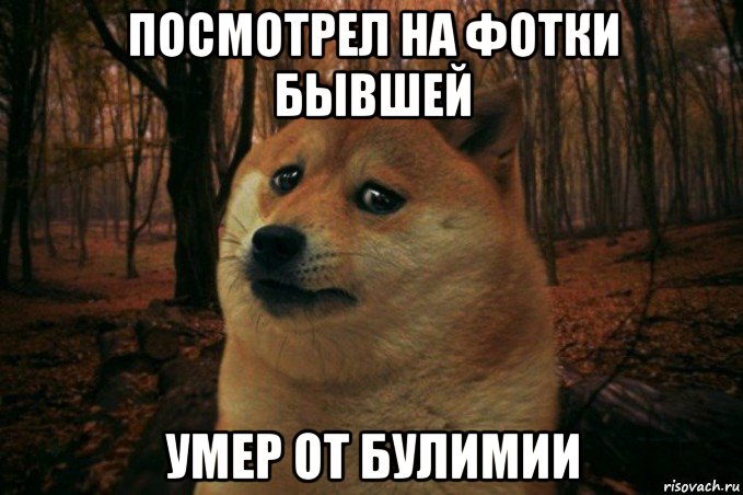 посмотрел на фотки бывшей умер от булимии, Мем SAD DOGE