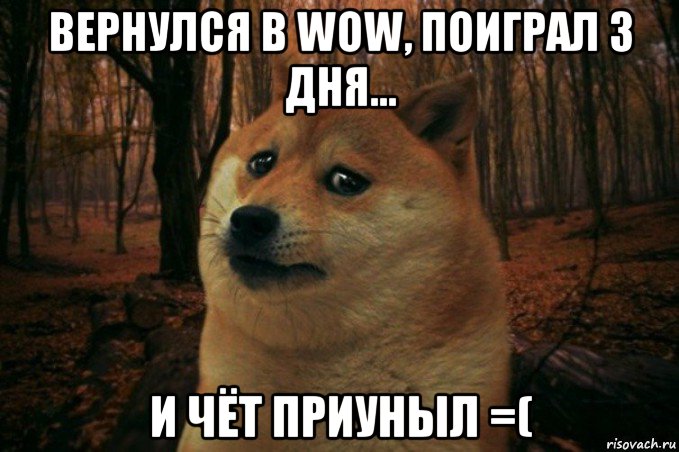 вернулся в wow, поиграл 3 дня... и чёт приуныл =(, Мем SAD DOGE