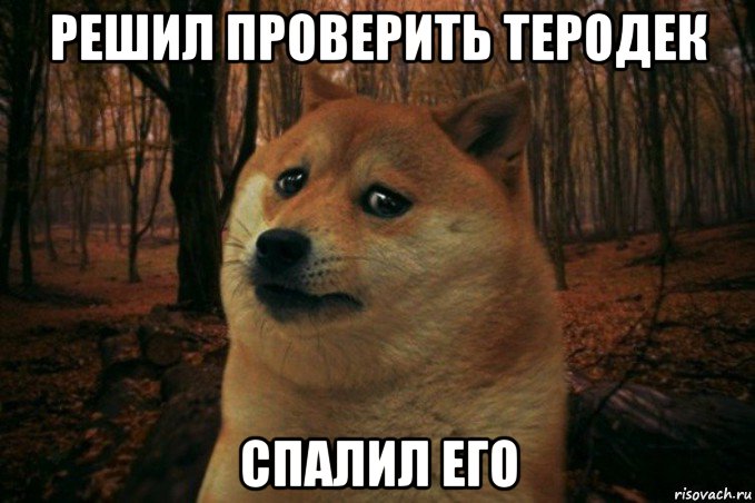 решил проверить теродек спалил его, Мем SAD DOGE