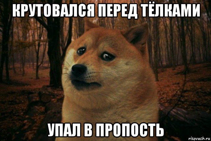 крутовался перед тёлками упал в пропость, Мем SAD DOGE