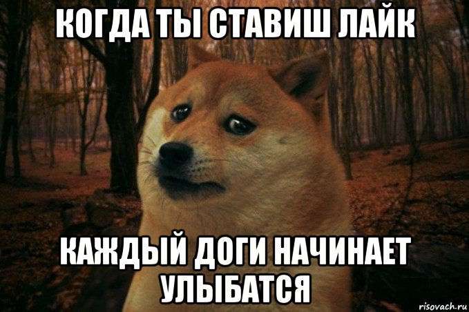 когда ты ставиш лайк каждый доги начинает улыбатся, Мем SAD DOGE