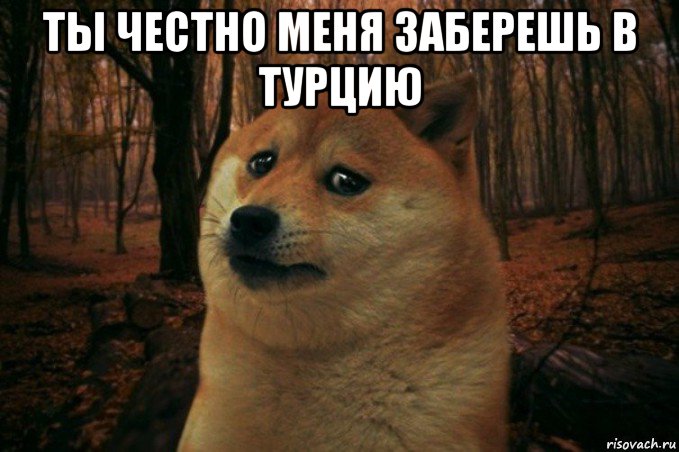 ты честно меня заберешь в турцию , Мем SAD DOGE