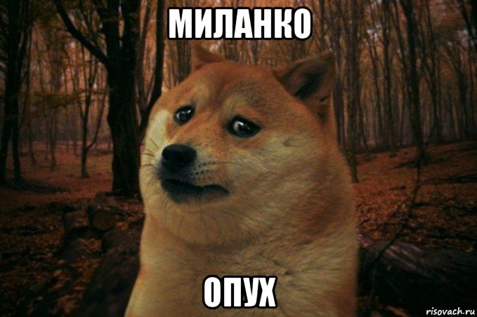 миланко опух, Мем SAD DOGE