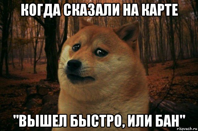 когда сказали на карте "вышел быстро, или бан", Мем SAD DOGE