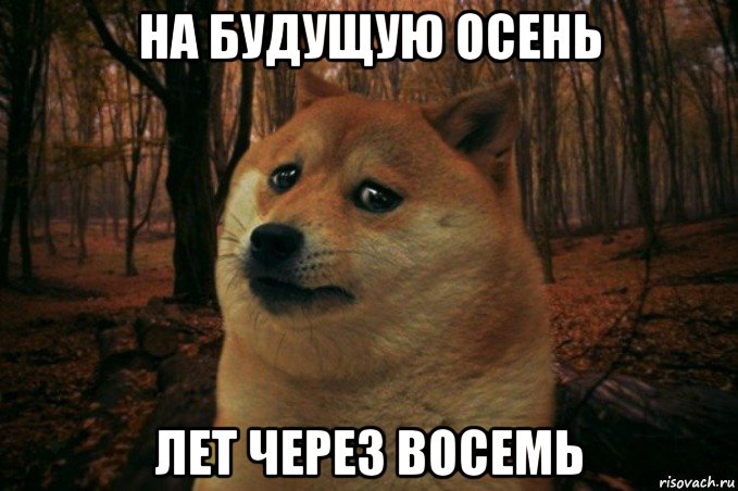 на будущую осень лет через восемь, Мем SAD DOGE