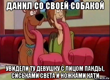 данил со своей собакой увидели ту девушку с лицом панды, сиськами света и ножками кати