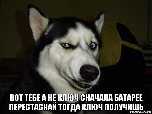 Вот тебе а не ключ сначала батарее перестаскай тогда ключ получишь, Комикс  Собака подозревака