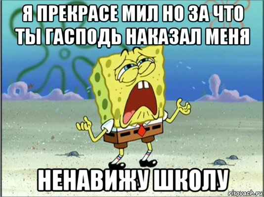 я прекрасе мил но за что ты гасподь наказал меня ненавижу школу, Мем Спанч Боб плачет