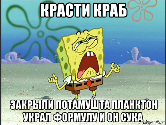 красти краб закрыли потамушта планктон украл формулу и он сука, Мем Спанч Боб плачет