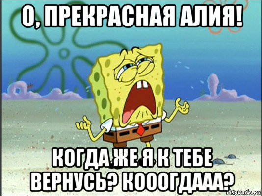 о, прекрасная алия! когда же я к тебе вернусь? кооогдааа?, Мем Спанч Боб плачет