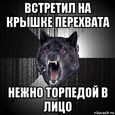 встретил на крышке перехвата нежно торпедой в лицо, Мем Сумасшедший волк