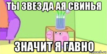 ты звезда ая свинья значит я гавно