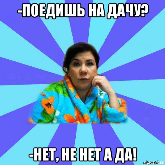 -поедишь на дачу? -нет, не нет а да!, Мем типичная мама