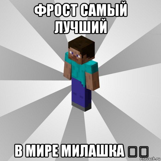 фрост самый лучший в мире милашка ❤️, Мем Типичный игрок Minecraft