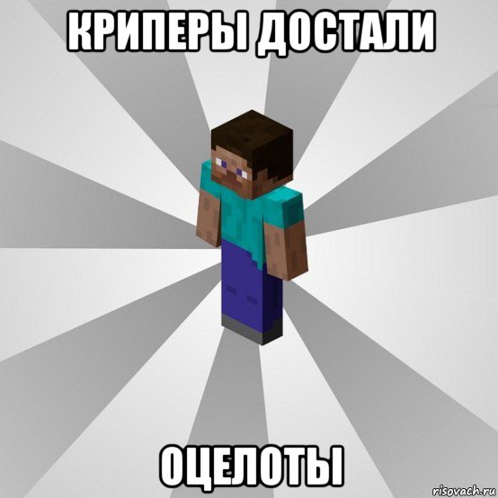 криперы достали оцелоты, Мем Типичный игрок Minecraft