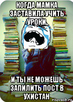 когда мамка заставила учить уроки и ты не можешь запилить пост в ухистан, Мем Типовий десятикласник