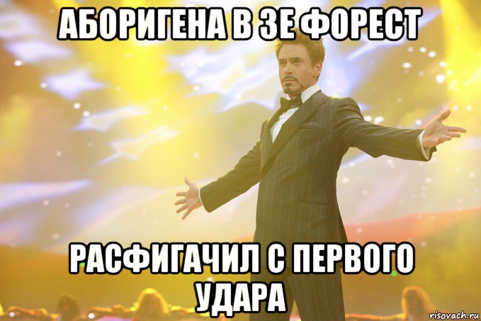 аборигена в зе форест расфигачил с первого удара, Мем Тони Старк (Роберт Дауни младший)