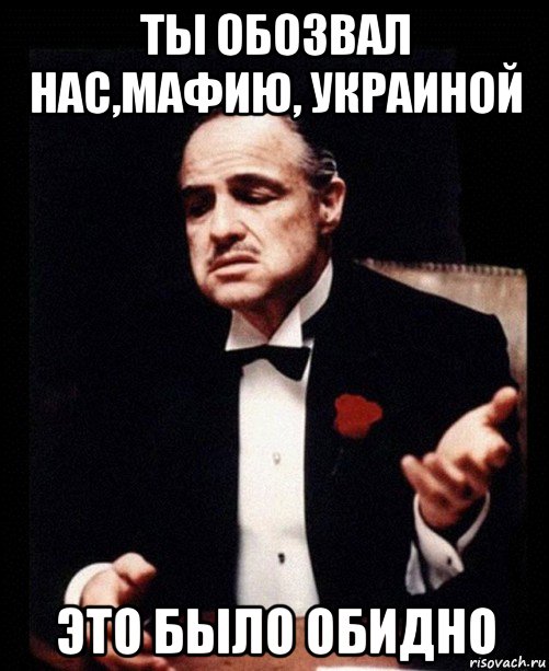 ты обозвал нас,мафию, украиной это было обидно, Мем ты делаешь это без уважения