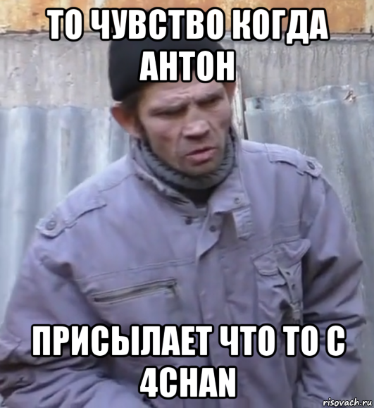 то чувство когда антон присылает что то с 4chan