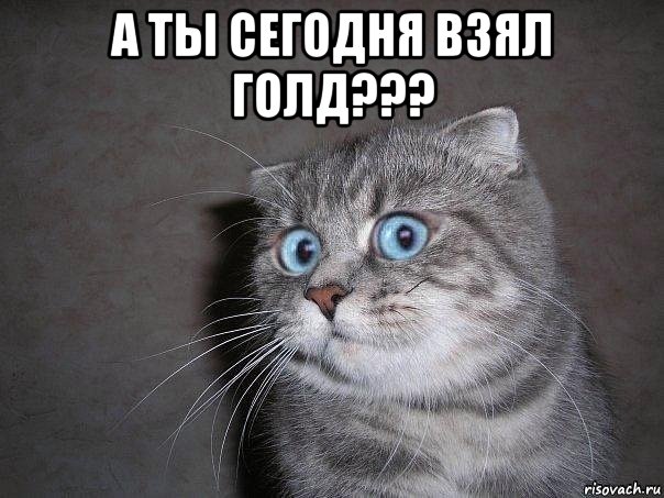 а ты сегодня взял голд??? , Мем  удивлённый кот